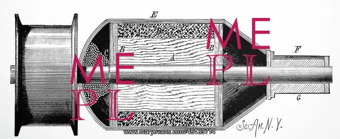 : Engraving depicting a sectional view of the armature : Engraving depicting a sectional view of the armature