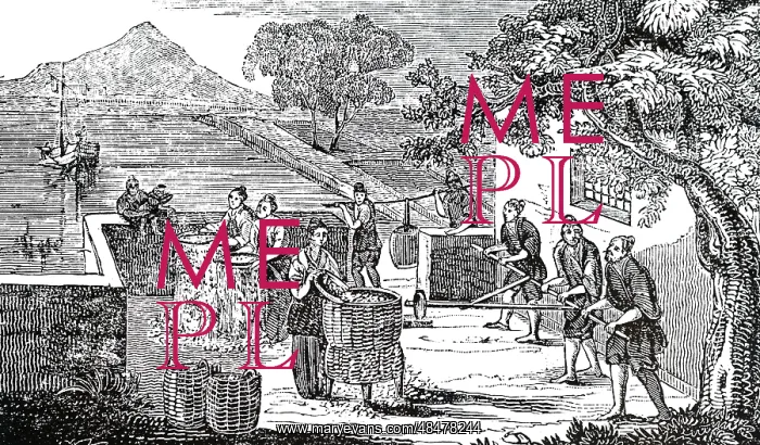 : An engraving depicting the sifting of husks from rice : An engraving depicting the sifting of husks from rice
