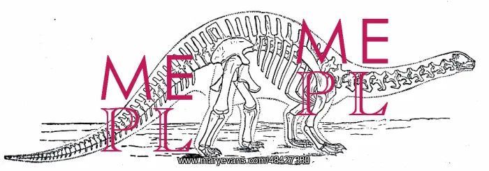 : An engraving depicting the skeleton of a Brontosaurus : An engraving depicting the skeleton of a Brontosaurus