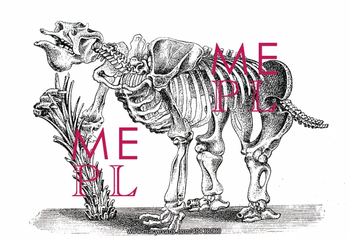 : An engraving depicting the skeleton of a Megatherium : An engraving depicting the skeleton of a Megatherium
