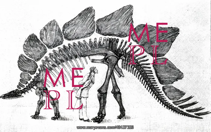 : An engraving depicting the skeleton of a stegosaurus : An engraving depicting the skeleton of a stegosaurus