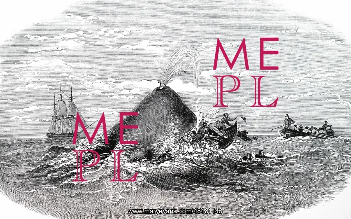 : An engraving depicting a Sperm whale destroying : An engraving depicting a Sperm whale destroying