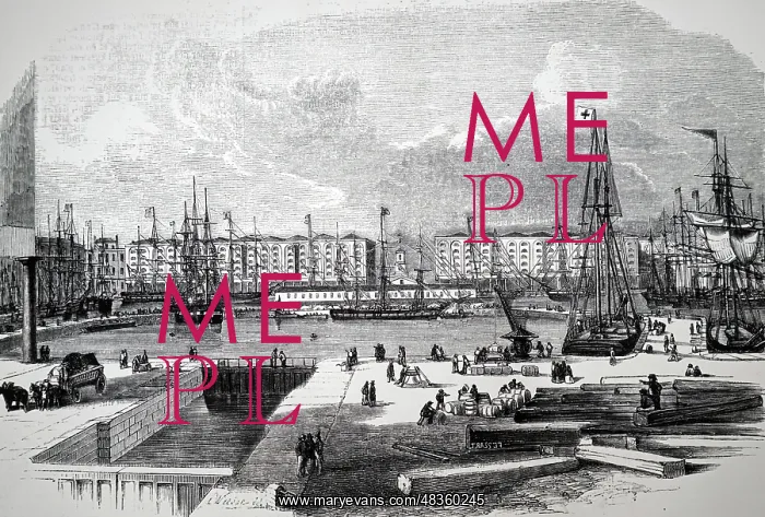 : Engraving depicting St Katherine's Docks : Engraving depicting St Katherine's Docks