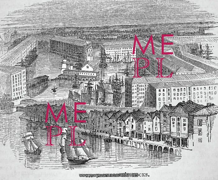 : Engraving depicting St Katherine's Docks : Engraving depicting St Katherine's Docks