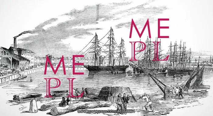 : Engraving depicting the steamer John Bowes : Engraving depicting the steamer John Bowes