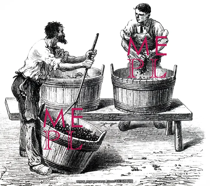 : An engraving depicting stirring and crushing of : An engraving depicting stirring and crushing of
