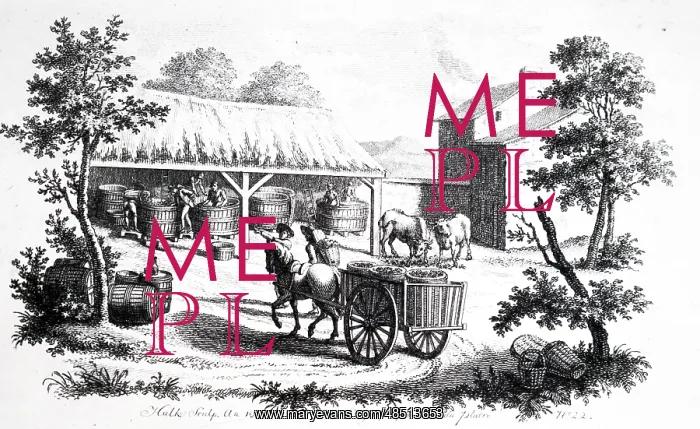 : An engraving depicting taking grapes from the : An engraving depicting taking grapes from the