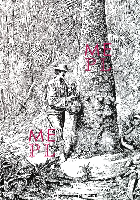 : Engraving depicting the tapping of a rubber tree : Engraving depicting the tapping of a rubber tree