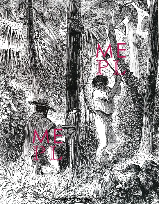 : An engraving depicting Tapping a rubber tree in : An engraving depicting Tapping a rubber tree in