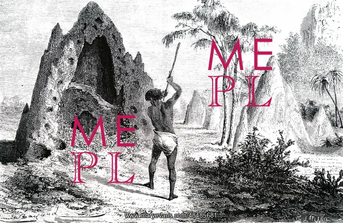 : An engraving depicting termite mounds : An engraving depicting termite mounds