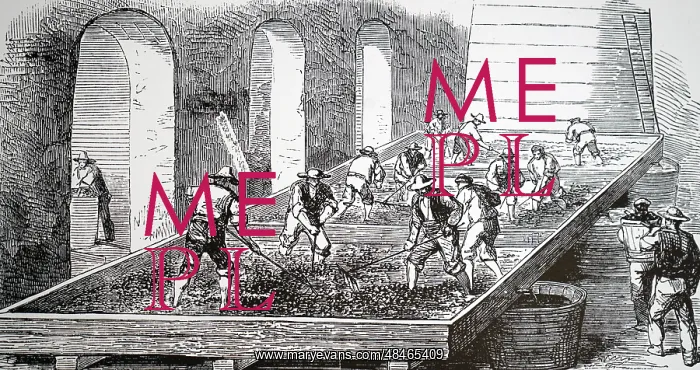 : An engraving depicting Treading the grapes at : An engraving depicting Treading the grapes at