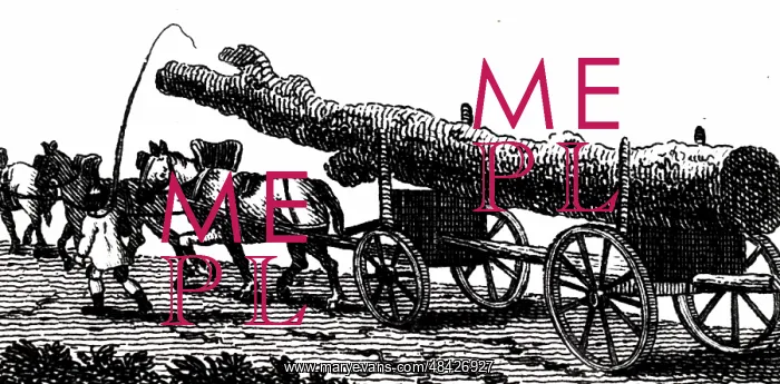 : An engraving depicting a tree-trunk being taken : An engraving depicting a tree-trunk being taken
