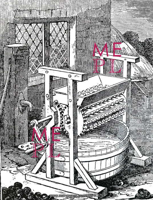 : An engraving depicting a type of cider mill : An engraving depicting a type of cider mill