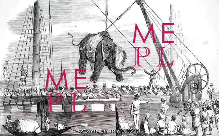 : Engraving depicting the unloading of elephants : Engraving depicting the unloading of elephants