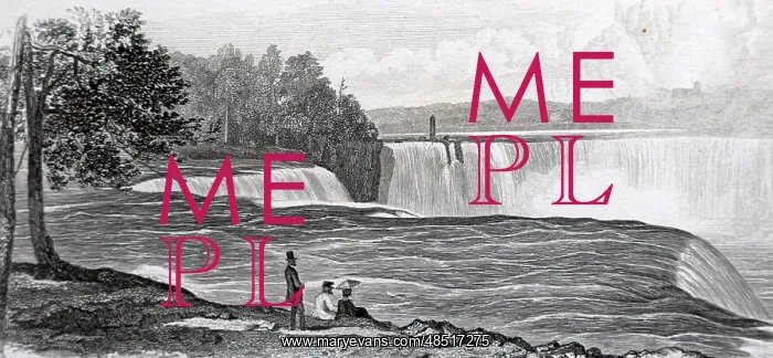 : An engraving depicting a view of Niagara Falls : An engraving depicting a view of Niagara Falls