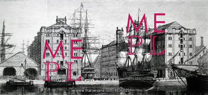 : Engraving depicting Waterloo Dock, Liverpool : Engraving depicting Waterloo Dock, Liverpool