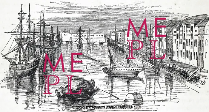 : Engraving depicting the West India Dock : Engraving depicting the West India Dock