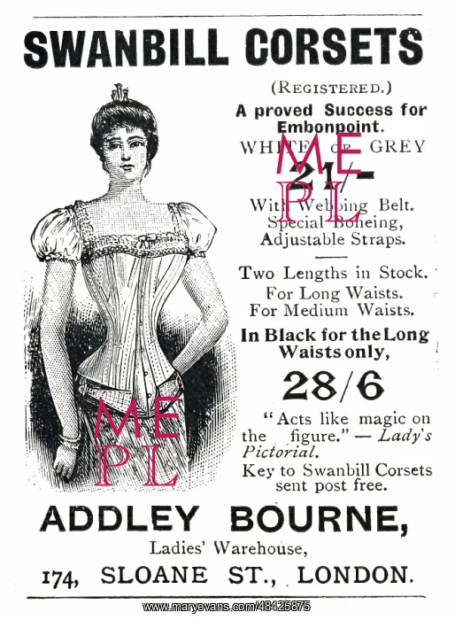 : An engraving depicting a whalebone corset : An engraving depicting a whalebone corset