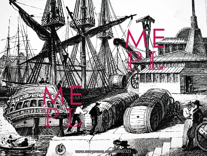 : Engraving depicting workmen unloading barrels of sugar : Engraving depicting workmen unloading barrels of sugar