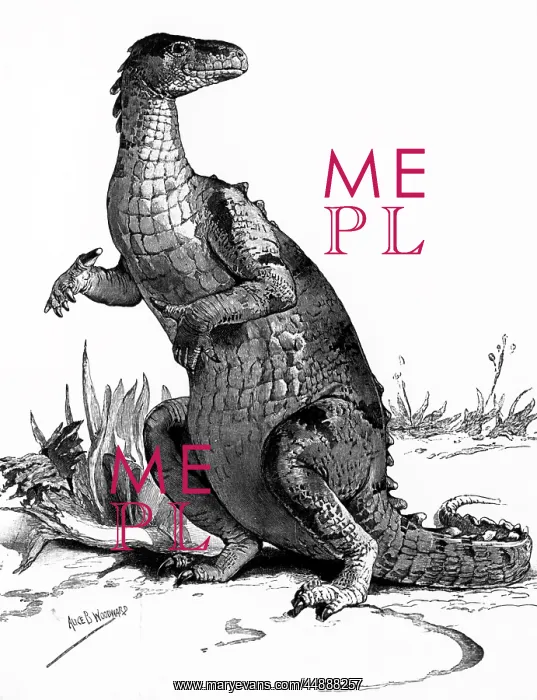: ENGRAVING OF DINOSAUR IGUANODON : ENGRAVING OF DINOSAUR IGUANODON
