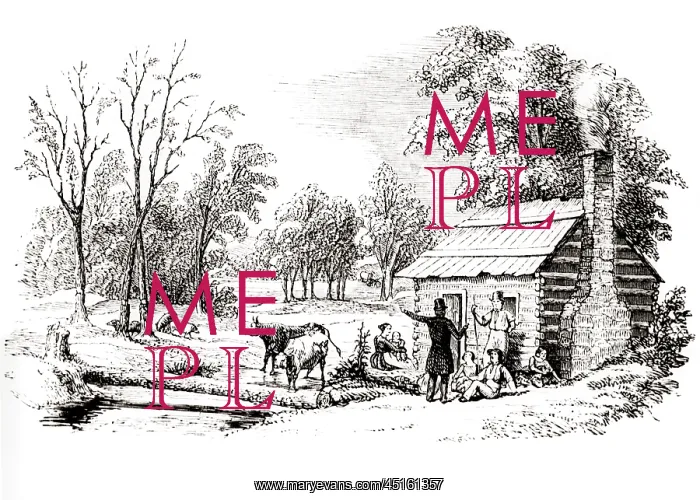 : Engraving of the Western Home Settlers Assembled : Engraving of the Western Home Settlers Assembled