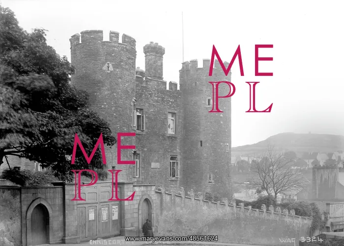 : Enniscorthy Castle, Co. Wexford : Enniscorthy Castle, Co. Wexford