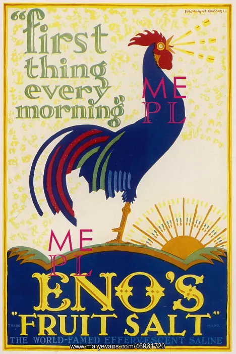 : ENO'S COCKEREL : ENO'S COCKEREL