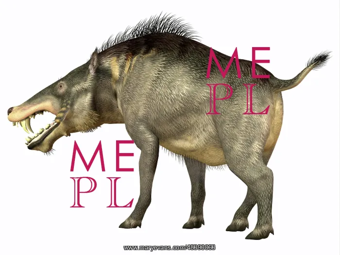 : Entelodon, white background : Entelodon, white background