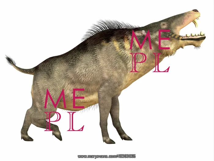  : Entelodon, white background