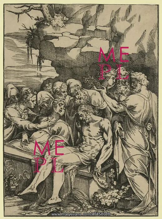 : The entombment : The entombment