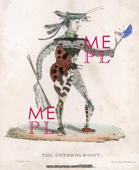  : ENTOMOLOGIST ALLEGORY