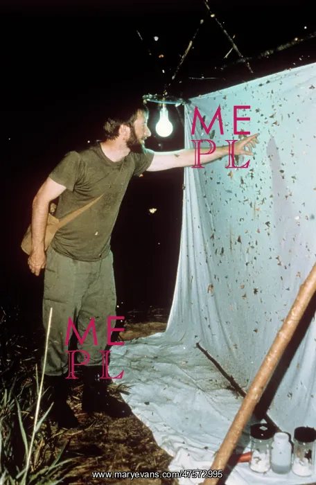  : Entomologist with moth specimens