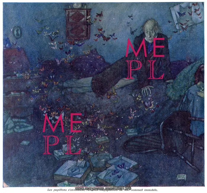 : Entomologist's Dream by Edmund Dulac : Entomologist's Dream by Edmund Dulac