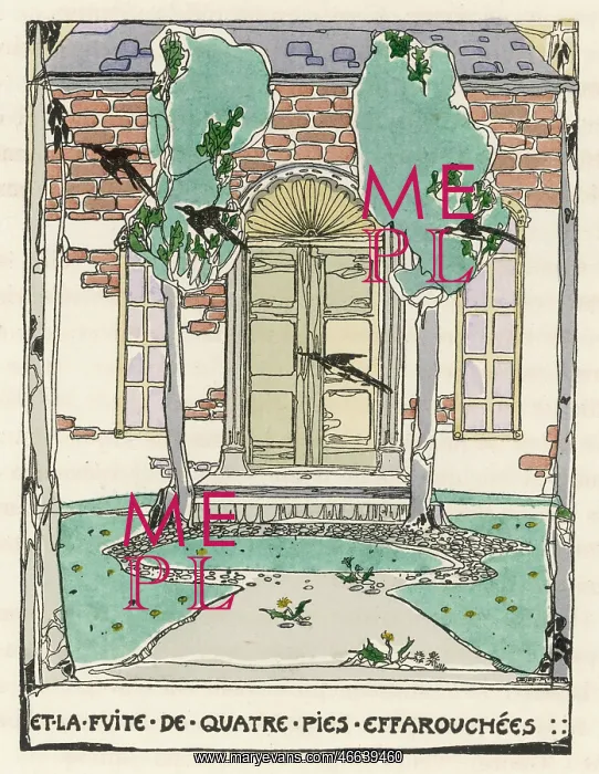 : ENTRANCE & FRONT DOOR : ENTRANCE & FRONT DOOR