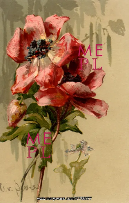  : Entwined Flowers