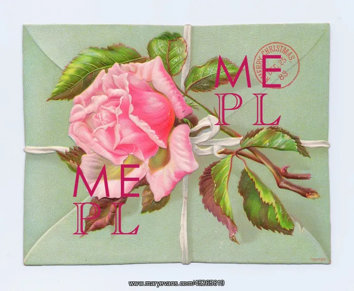 : Envelope with pink rose on a Christmas card : Envelope with pink rose on a Christmas card