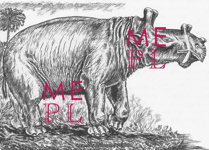 : Eobasileus : Eobasileus