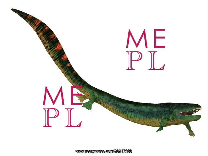 : Eogyrinus aquatic tetrapod, side view : Eogyrinus aquatic tetrapod, side view
