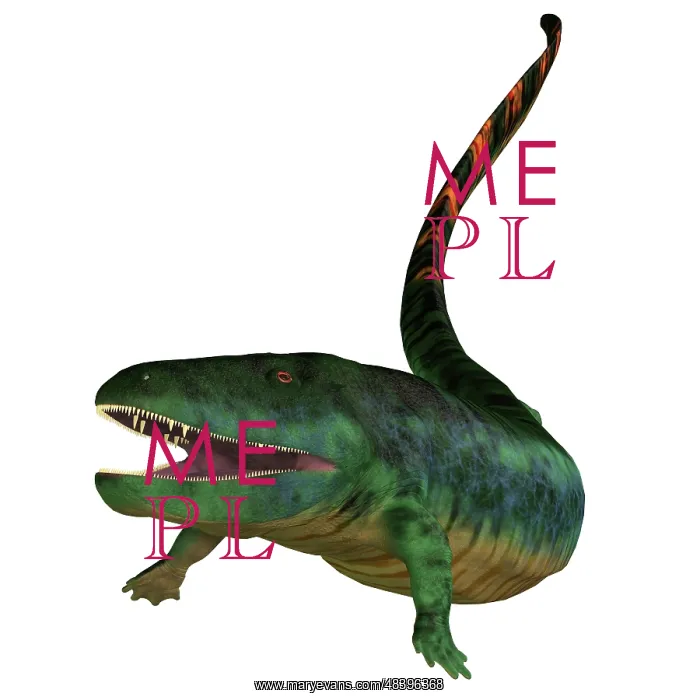 : Eogyrinus aquatic tetrapod on white background : Eogyrinus aquatic tetrapod on white background