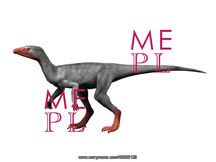 : Eoraptor lunensis is an extinct dinosaur from the Late ? : Eoraptor lunensis is an extinct dinosaur from the Late ?