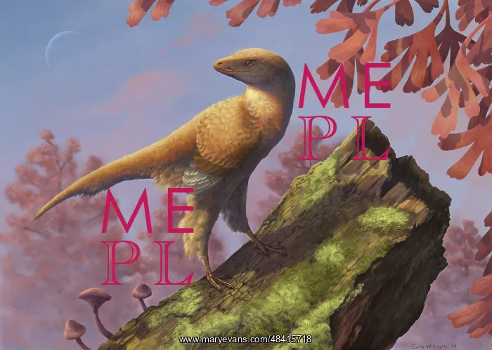 : Eosinopteryx brevipenna perched on a tree branch : Eosinopteryx brevipenna perched on a tree branch