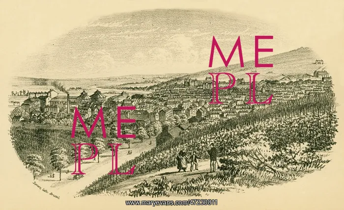 : EPERNAY VINEYARDS, 1877 : EPERNAY VINEYARDS, 1877