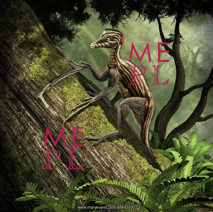 : Epidendrosaurus ninchengensis capturing wood worms : Epidendrosaurus ninchengensis capturing wood worms