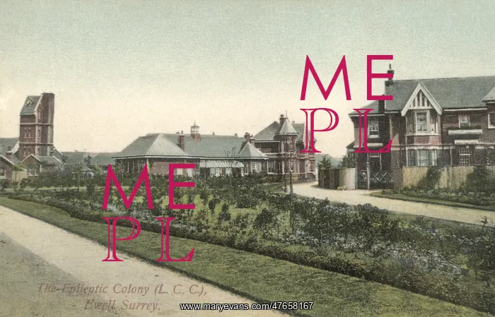 : Epileptic Colony. Ewell, Surrey : Epileptic Colony. Ewell, Surrey