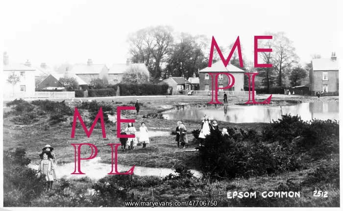  : Epsom Common, Epsom, Surrey