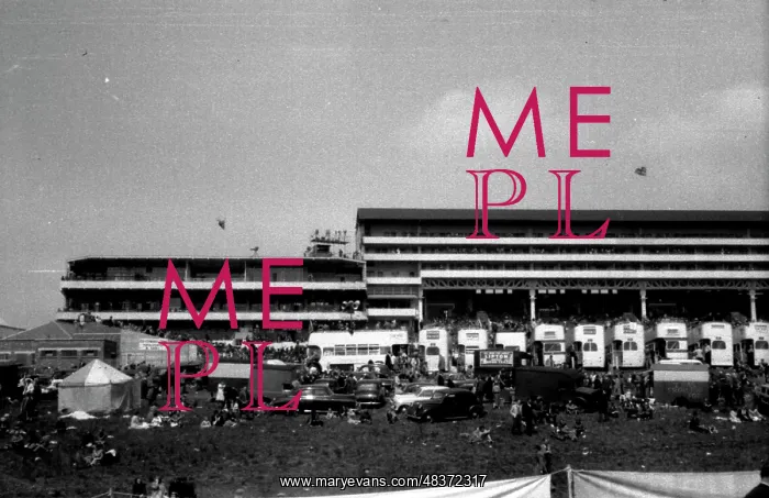 : Epsom Derby - 1954 : Epsom Derby - 1954