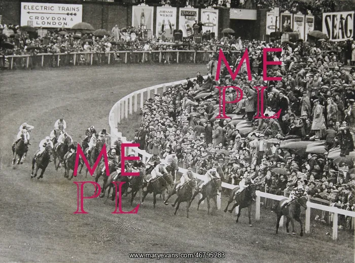 : Epsom Derby : Epsom Derby