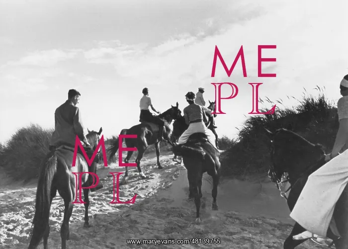 : Equestrian sport : Equestrian sport