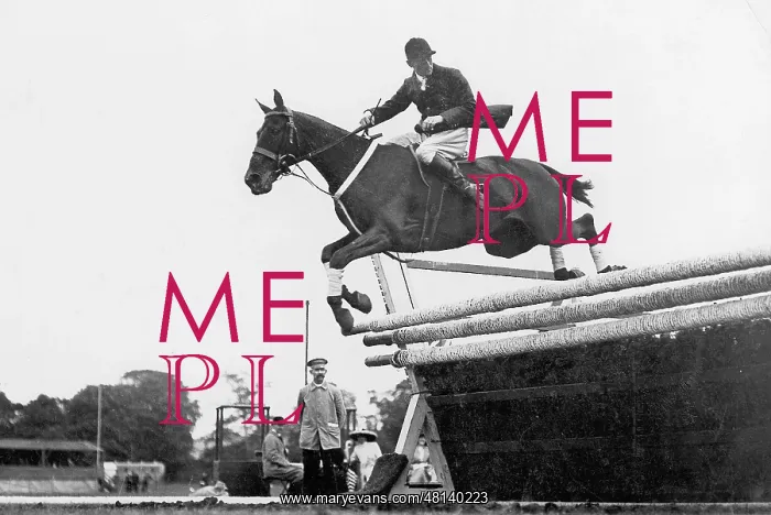 : Equestrian sport : Equestrian sport