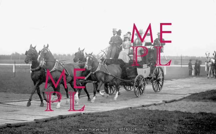 : Equestrian sport : Equestrian sport